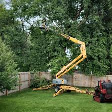 Best Lawn Mowing  in Cambria, IL